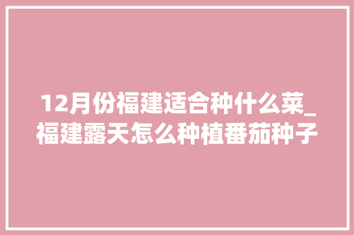 12月份福建适合种什么菜_福建露天怎么种植番茄种子