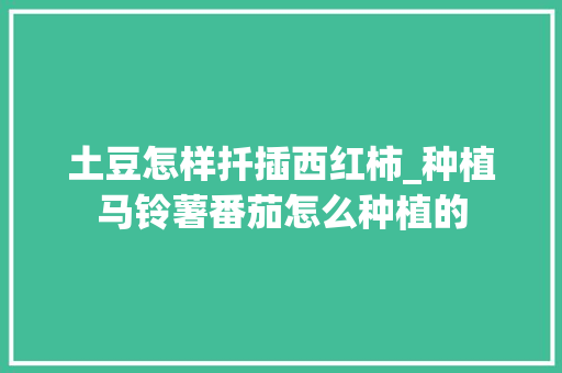土豆怎样扦插西红柿_种植马铃薯番茄怎么种植的 土豆怎样扦插西红柿_种植马铃薯番茄怎么种植的 番茄种植技巧
