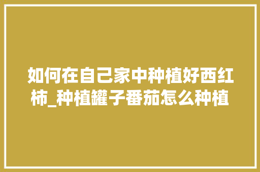 如何在自己家中种植好西红柿_种植罐子番茄怎么种植 如何在自己家中种植好西红柿_种植罐子番茄怎么种植 种植技巧