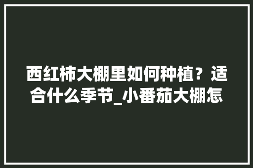 西红柿大棚里如何种植？适合什么季节_小番茄大棚怎么种植视频