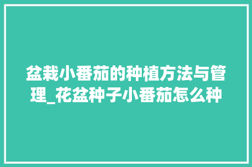 盆栽小番茄的种植方法与管理_花盆种子小番茄怎么种植视频 盆栽小番茄的种植方法与管理_花盆种子小番茄怎么种植视频 土壤施肥