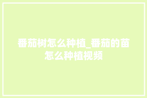 番茄树怎么种植_番茄的苗怎么种植视频 植物种类 番茄树怎么种植_番茄的苗怎么种植视频 番茄树怎么种植_番茄的苗怎么种植视频 植物种类