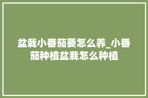 盆栽小番茄要怎么养_小番茄种植盆栽怎么种植 盆栽小番茄要怎么养_小番茄种植盆栽怎么种植 番茄种植技巧