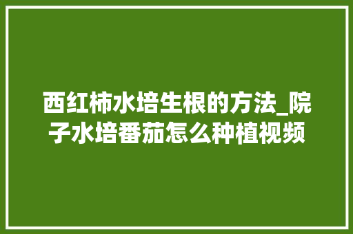 西红柿水培生根的方法_院子水培番茄怎么种植视频 西红柿水培生根的方法_院子水培番茄怎么种植视频 番茄种植技巧