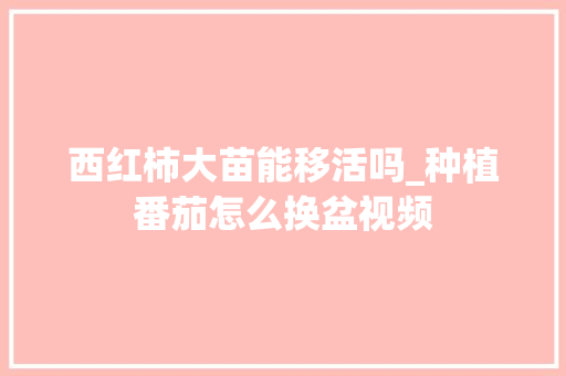 西红柿大苗能移活吗_种植番茄怎么换盆视频 西红柿大苗能移活吗_种植番茄怎么换盆视频 番茄种植技巧
