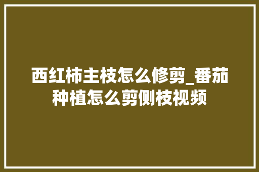 西红柿主枝怎么修剪_番茄种植怎么剪侧枝视频