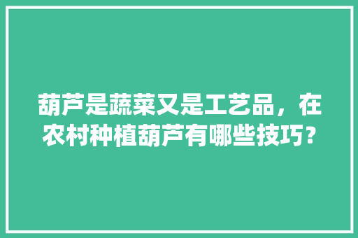 葫芦是蔬菜又是工艺品，在农村种植葫芦有哪些技巧？哪些注意事项_蔬菜种植方法小技巧视频