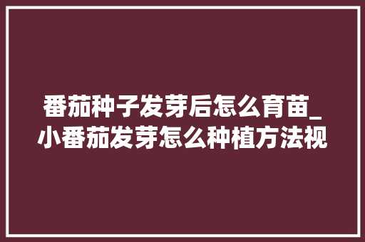 番茄种子发芽后怎么育苗_小番茄发芽怎么种植方法视频 番茄种子发芽后怎么育苗_小番茄发芽怎么种植方法视频 农业常识