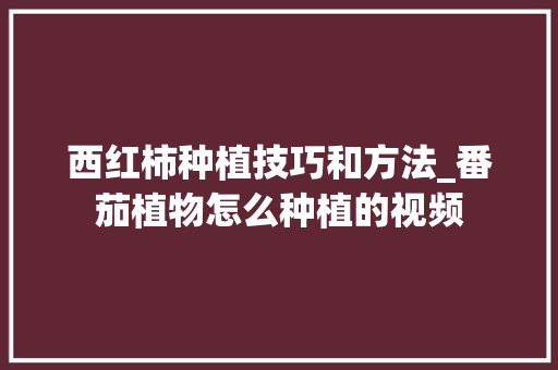 西红柿种植技巧和方法_番茄植物怎么种植的视频 种植技巧 西红柿种植技巧和方法_番茄植物怎么种植的视频 西红柿种植技巧和方法_番茄植物怎么种植的视频 种植技巧