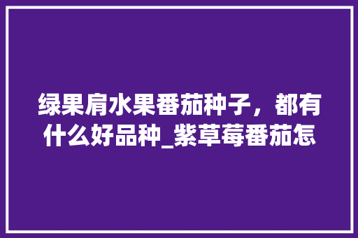 绿果肩水果番茄种子，都有什么好品种_紫草莓番茄怎么种植方法视频 绿果肩水果番茄种子，都有什么好品种_紫草莓番茄怎么种植方法视频 种植技巧