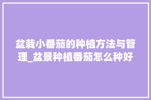 盆栽小番茄的种植方法与管理_盆景种植番茄怎么种好呢视频 盆栽小番茄的种植方法与管理_盆景种植番茄怎么种好呢视频 花朵知识