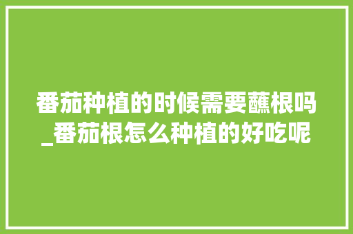 番茄种植的时候需要蘸根吗_番茄根怎么种植的好吃呢