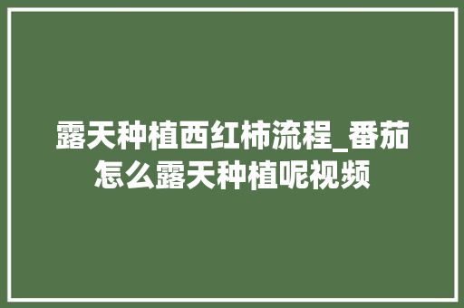 露天种植西红柿流程_番茄怎么露天种植呢视频 露天种植西红柿流程_番茄怎么露天种植呢视频 植物种类