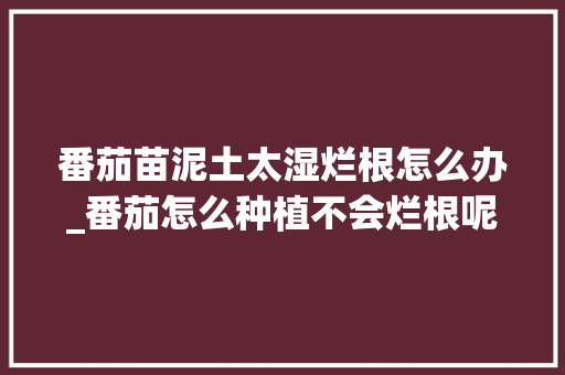 番茄苗泥土太湿烂根怎么办_番茄怎么种植不会烂根呢 番茄苗泥土太湿烂根怎么办_番茄怎么种植不会烂根呢 土壤施肥