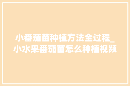小番茄苗种植方法全过程_小水果番茄苗怎么种植视频 小番茄苗种植方法全过程_小水果番茄苗怎么种植视频 番茄病虫害防治