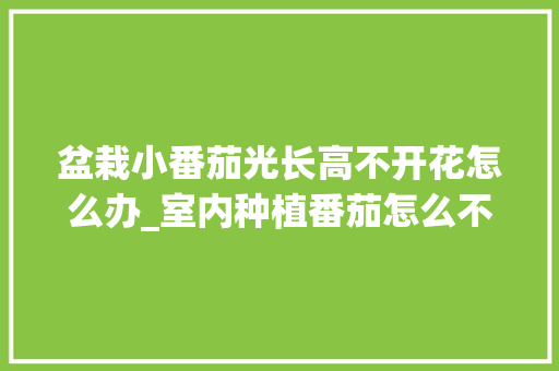 盆栽小番茄光长高不开花怎么办_室内种植番茄怎么不开花呢 盆栽小番茄光长高不开花怎么办_室内种植番茄怎么不开花呢 花朵知识