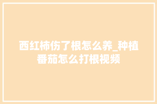 西红柿伤了根怎么养_种植番茄怎么打根视频 西红柿伤了根怎么养_种植番茄怎么打根视频 植物种类