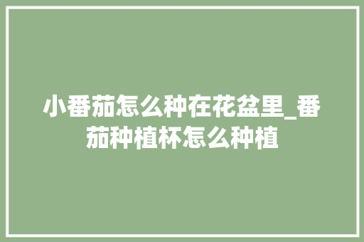 小番茄怎么种在花盆里_番茄种植杯怎么种植 小番茄怎么种在花盆里_番茄种植杯怎么种植 植物种类