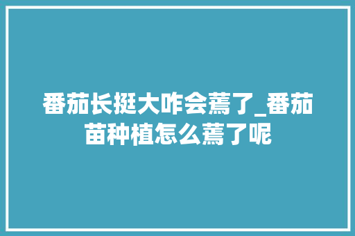 番茄长挺大咋会蔫了_番茄苗种植怎么蔫了呢 番茄长挺大咋会蔫了_番茄苗种植怎么蔫了呢 花朵知识