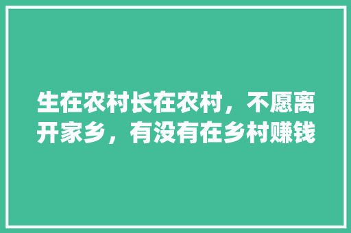 生在农村长在农村，不愿离开家乡，有没有在乡村赚钱的门路_黑钻石番茄怎么种植视频