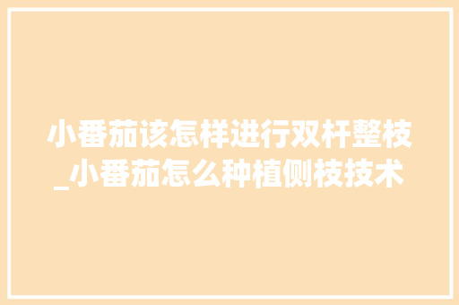 小番茄该怎样进行双杆整枝_小番茄怎么种植侧枝技术视频 小番茄该怎样进行双杆整枝_小番茄怎么种植侧枝技术视频 植物种类