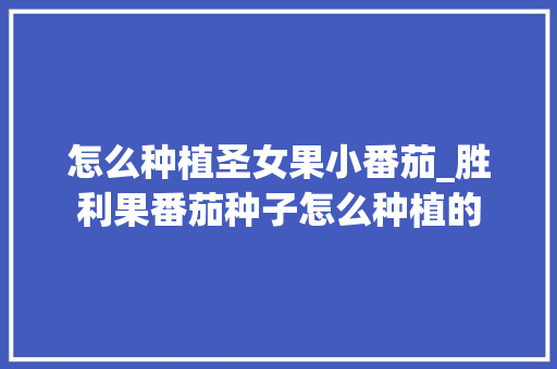 怎么种植圣女果小番茄_胜利果番茄种子怎么种植的 怎么种植圣女果小番茄_胜利果番茄种子怎么种植的 植物种类
