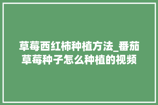 草莓西红柿种植方法_番茄草莓种子怎么种植的视频 草莓西红柿种植方法_番茄草莓种子怎么种植的视频 番茄种植技巧