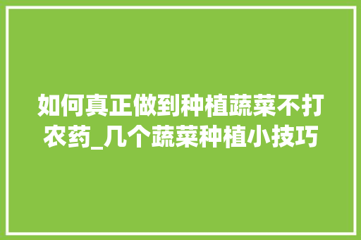 如何真正做到种植蔬菜不打农药_几个蔬菜种植小技巧视频大全 如何真正做到种植蔬菜不打农药_几个蔬菜种植小技巧视频大全 番茄病虫害防治