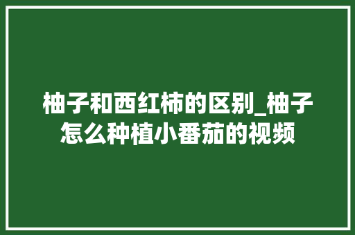 柚子和西红柿的区别_柚子怎么种植小番茄的视频
