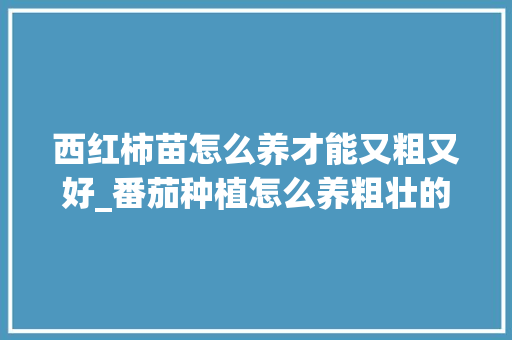 西红柿苗怎么养才能又粗又好_番茄种植怎么养粗壮的 西红柿苗怎么养才能又粗又好_番茄种植怎么养粗壮的 土壤施肥