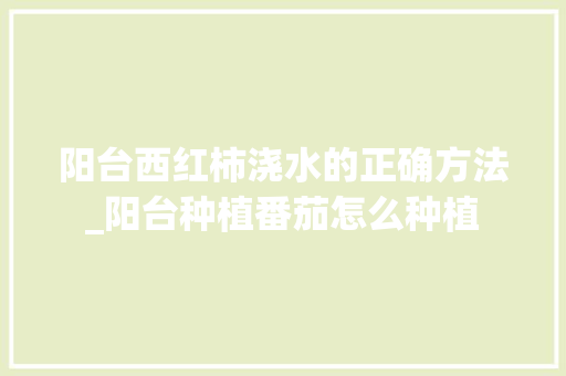 阳台西红柿浇水的正确方法_阳台种植番茄怎么种植 阳台西红柿浇水的正确方法_阳台种植番茄怎么种植 农业常识