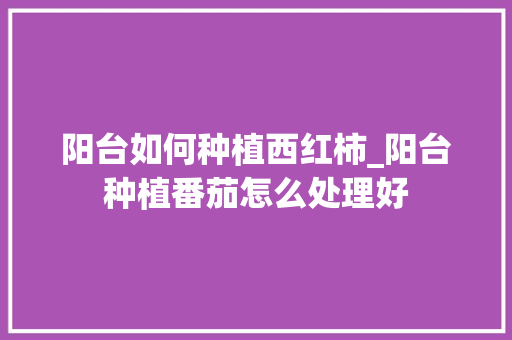 阳台如何种植西红柿_阳台种植番茄怎么处理好 阳台如何种植西红柿_阳台种植番茄怎么处理好 农业常识