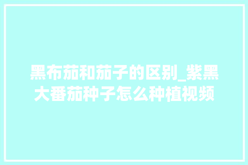 黑布茄和茄子的区别_紫黑大番茄种子怎么种植视频