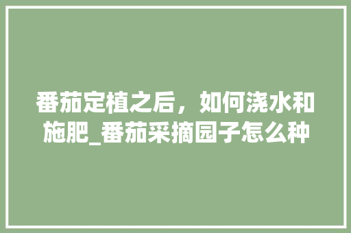 番茄定植之后，如何浇水和施肥_番茄采摘园子怎么种植视频 番茄定植之后，如何浇水和施肥_番茄采摘园子怎么种植视频 番茄种植技巧