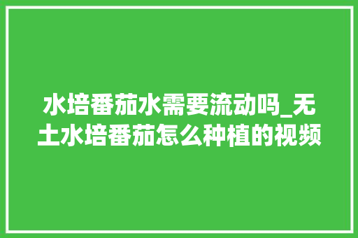 水培番茄水需要流动吗_无土水培番茄怎么种植的视频 水培番茄水需要流动吗_无土水培番茄怎么种植的视频 番茄种植技巧