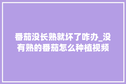 番茄没长熟就坏了咋办_没有熟的番茄怎么种植视频 番茄没长熟就坏了咋办_没有熟的番茄怎么种植视频 植物种类