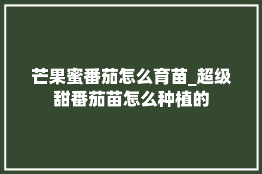 芒果蜜番茄怎么育苗_超级甜番茄苗怎么种植的