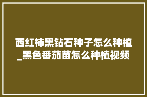 西红柿黑钻石种子怎么种植_黑色番茄苗怎么种植视频 植物种类 西红柿黑钻石种子怎么种植_黑色番茄苗怎么种植视频 西红柿黑钻石种子怎么种植_黑色番茄苗怎么种植视频 植物种类