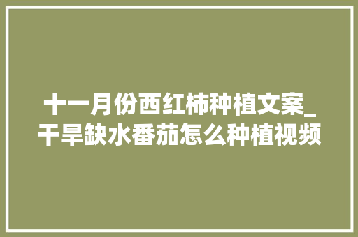 十一月份西红柿种植文案_干旱缺水番茄怎么种植视频 十一月份西红柿种植文案_干旱缺水番茄怎么种植视频 农业常识