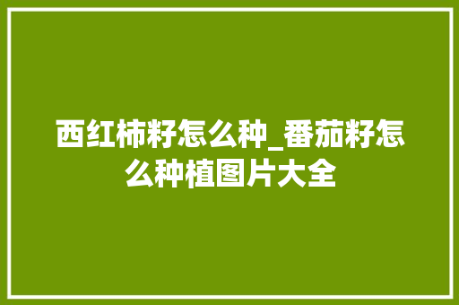 西红柿籽怎么种_番茄籽怎么种植图片大全 西红柿籽怎么种_番茄籽怎么种植图片大全 土壤施肥