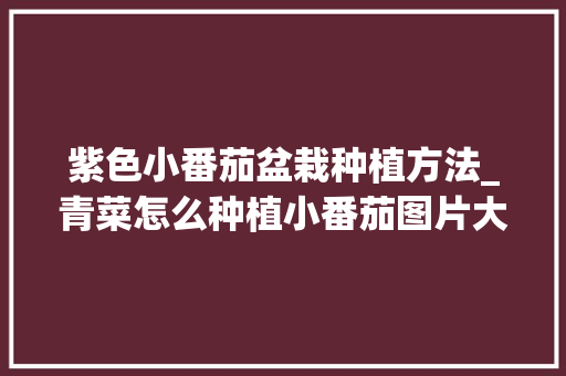 紫色小番茄盆栽种植方法_青菜怎么种植小番茄图片大全 紫色小番茄盆栽种植方法_青菜怎么种植小番茄图片大全 农业常识