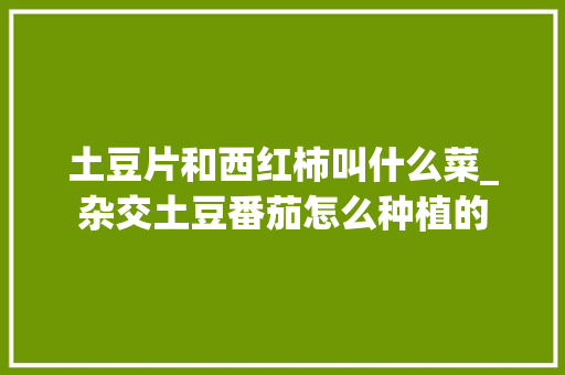 土豆片和西红柿叫什么菜_杂交土豆番茄怎么种植的 土豆片和西红柿叫什么菜_杂交土豆番茄怎么种植的 种植技巧