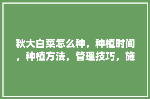 秋大白菜怎么种，种植时间，种植方法，管理技巧，施肥_秋番茄怎么种植方法