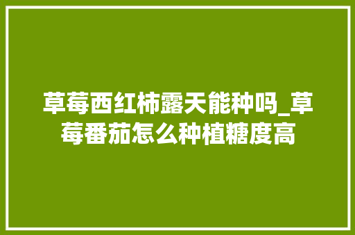 草莓西红柿露天能种吗_草莓番茄怎么种植糖度高 番茄病虫害防治 草莓西红柿露天能种吗_草莓番茄怎么种植糖度高 草莓西红柿露天能种吗_草莓番茄怎么种植糖度高 番茄病虫害防治