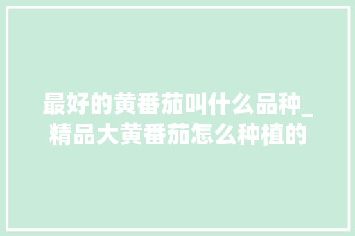最好的黄番茄叫什么品种_精品大黄番茄怎么种植的 最好的黄番茄叫什么品种_精品大黄番茄怎么种植的 花朵知识
