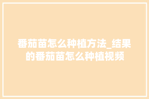 番茄苗怎么种植方法_结果的番茄苗怎么种植视频