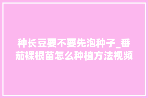 种长豆要不要先泡种子_番茄裸根苗怎么种植方法视频