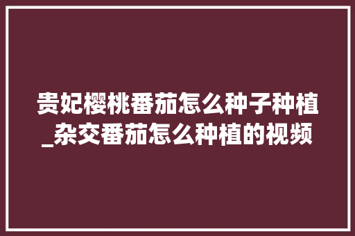 贵妃樱桃番茄怎么种子种植_杂交番茄怎么种植的视频 贵妃樱桃番茄怎么种子种植_杂交番茄怎么种植的视频 花朵知识