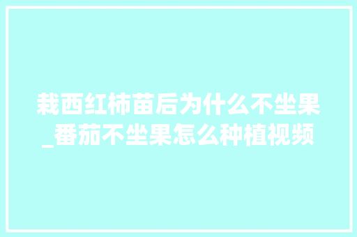 栽西红柿苗后为什么不坐果_番茄不坐果怎么种植视频 栽西红柿苗后为什么不坐果_番茄不坐果怎么种植视频 植物种类