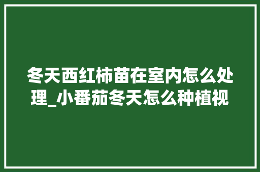 冬天西红柿苗在室内怎么处理_小番茄冬天怎么种植视频 冬天西红柿苗在室内怎么处理_小番茄冬天怎么种植视频 番茄病虫害防治